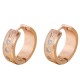 Fashion Earring ER-002D Fashion Earring ER-002D