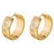 Fashion Earring ER-003D Fashion Earring ER-003D